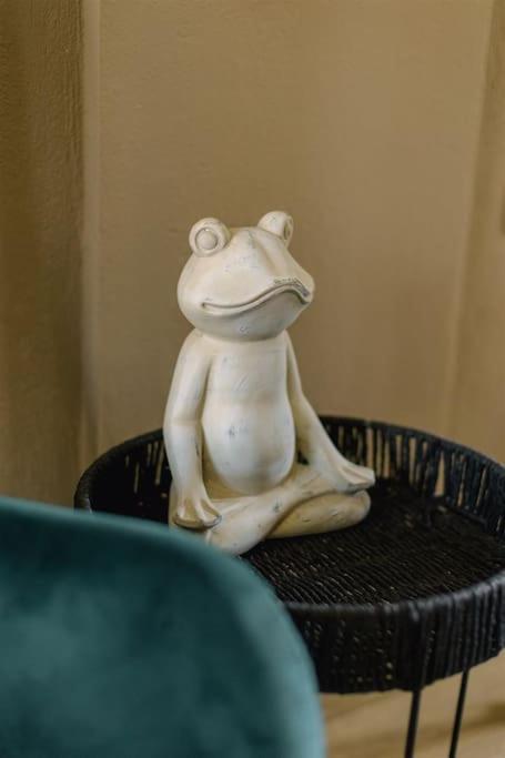 Frog 2 Όμορφο Διαμέρισμα Στα Ιωαννινα Joánina Kültér fotó